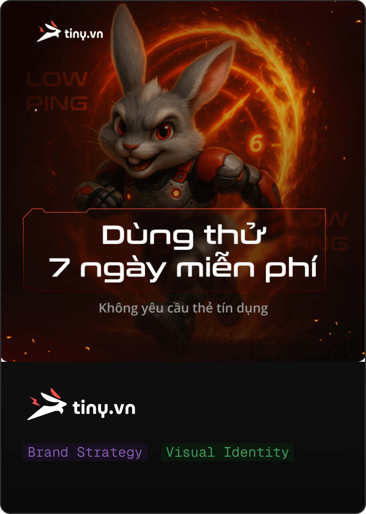Tiny.vn: กลไก SEO และการเติบโตของผลิตภัณฑ์