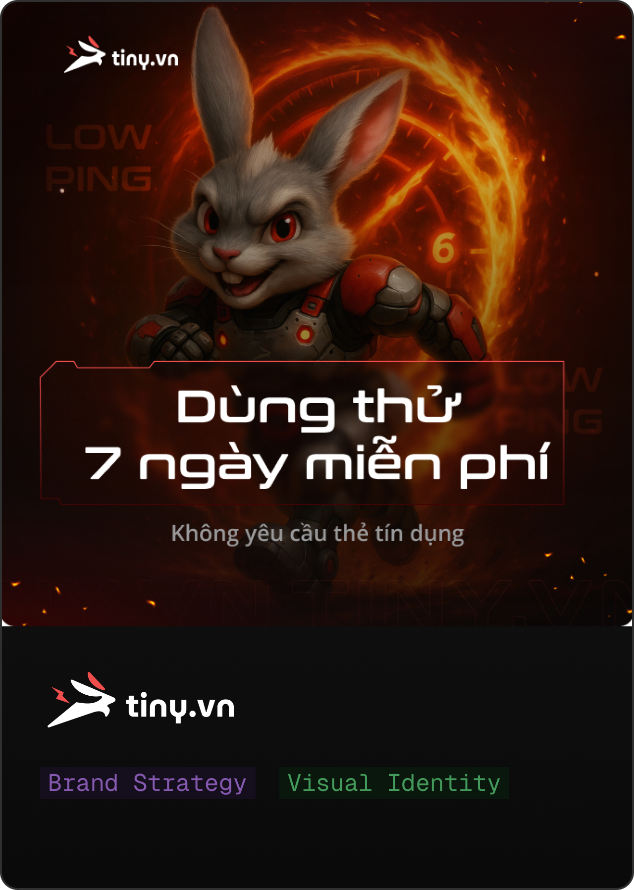 DMS Lab product engineering: nền tảng đa ngôn ngữ với định tuyến thời gian thực và phân tích